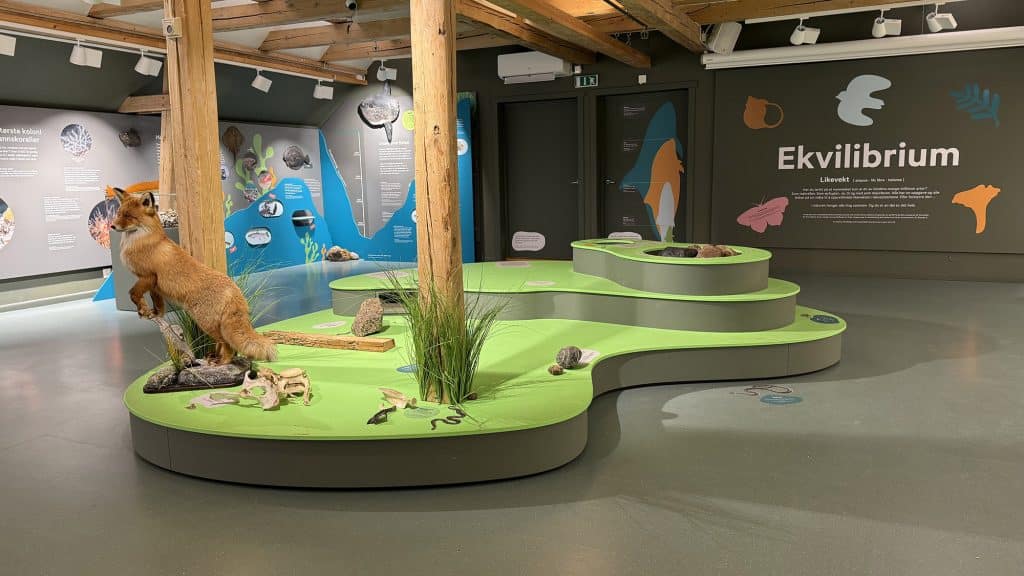Interiør fra Besøkssenter Ytre Hvaler nasjonalpark med naturutstilling.