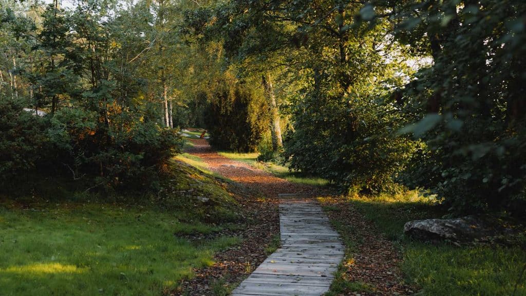 Trebelagt tursti gjennom grønn skog i et kulturminneområde i Fredrikstad.
