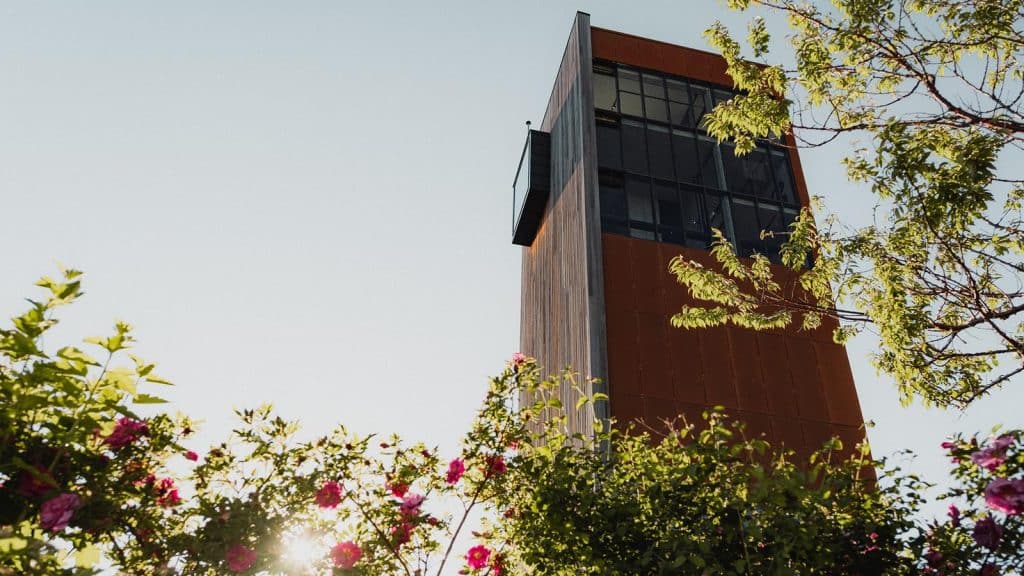 Solbergtårnet i tre og cortenstål, omgitt av blomstrende busker en solrik dag.