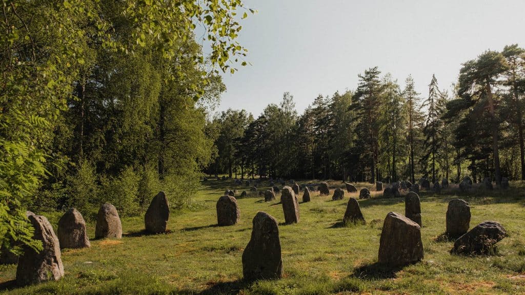 Nærbilde av steinringer på Hunnfeltet i Fredrikstad, omgitt av skog og grønt landskap.