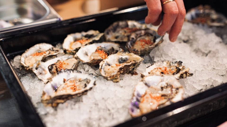 Ferske østers på is, klar til servering hos Gla’laksen