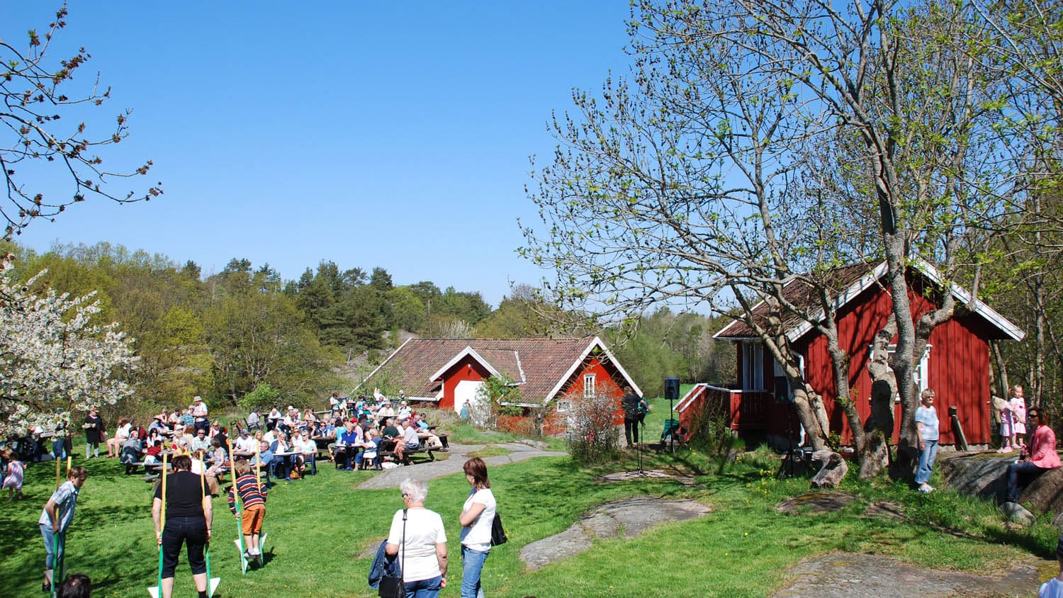 Folk samles ute i sola ved Kystmuseet på Spjærøy, omgitt av røde bygninger, grønt gress og blomstrende trær.