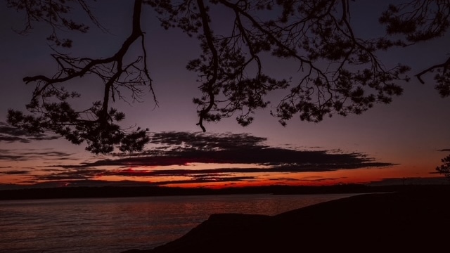 Solnedgang i dype røde farger sett gjennom trekroner ved sjøen.