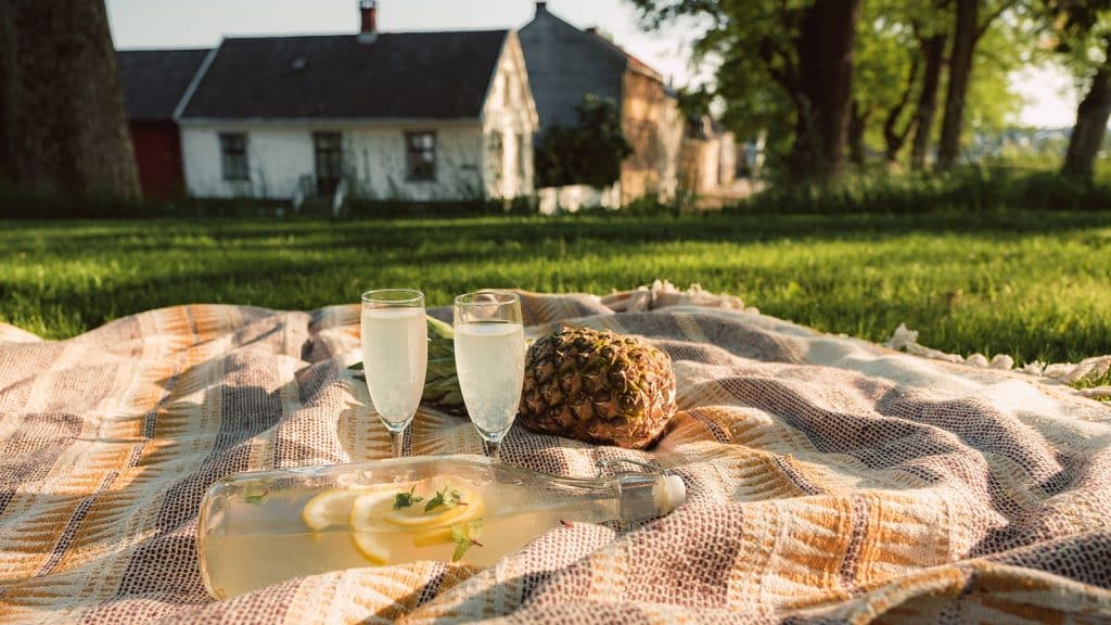 Piknikteppe med ananas, lemonade og to glass i grønn park